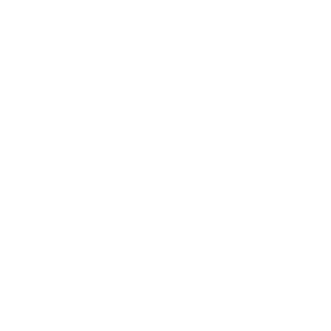 BIOTECH DENTAL