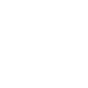 Fightart LOGO