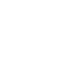 LOGO BIZON STUDIO