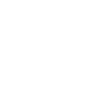 LOGO PUBLICIS