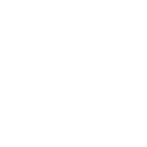 ECUSSON